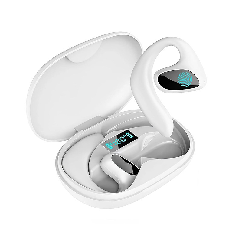 Language Translator Earbuds